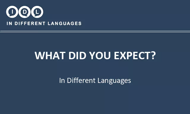 What did you expect? in Different Languages - Image