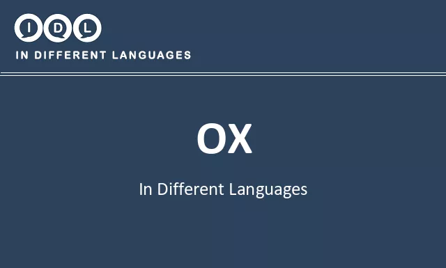 Ox in Different Languages - Image