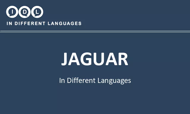 Jaguar in Different Languages - Image