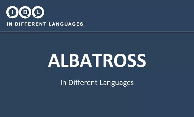 Albatross in Different Languages - Image