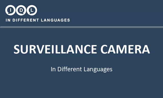 Surveillance camera in Different Languages - Image