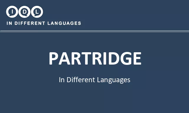 Partridge in Different Languages - Image