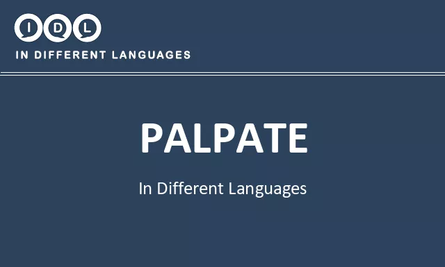 Palpate in Different Languages - Image