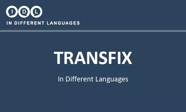 Transfix in Different Languages - Image