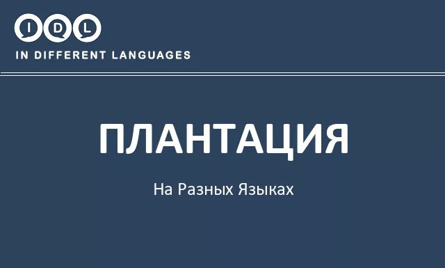Плантация на разных языках - Изображение