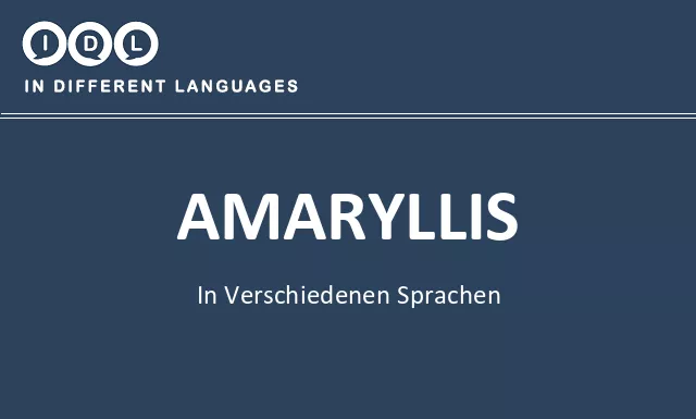 Amaryllis in verschiedenen sprachen - Bild