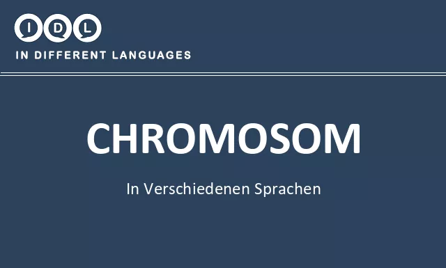 Chromosom in verschiedenen sprachen - Bild