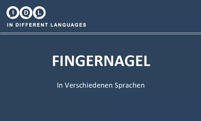 Fingernagel in verschiedenen sprachen - Bild