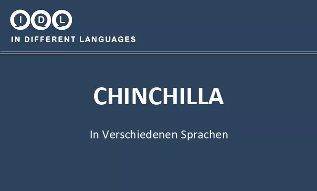 Chinchilla in verschiedenen sprachen - Bild