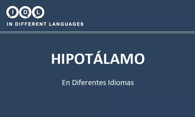 Hipotálamo en diferentes idiomas - Imagen