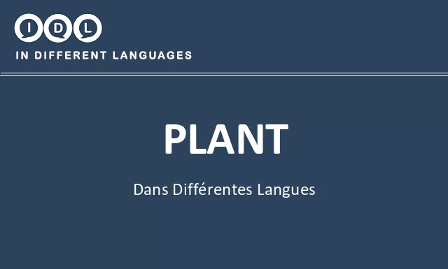 Plant dans différentes langues - Image