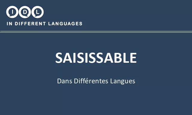 Saisissable dans différentes langues - Image