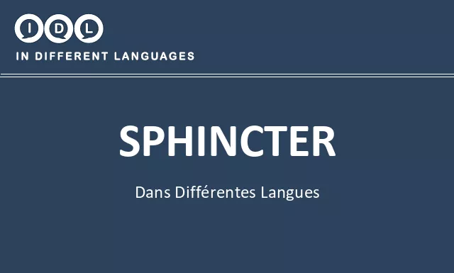 Sphincter dans différentes langues - Image