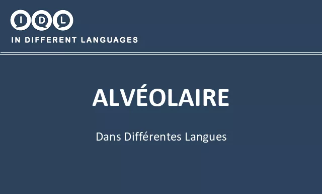 Alvéolaire dans différentes langues - Image