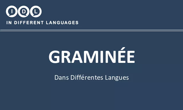 Graminée dans différentes langues - Image