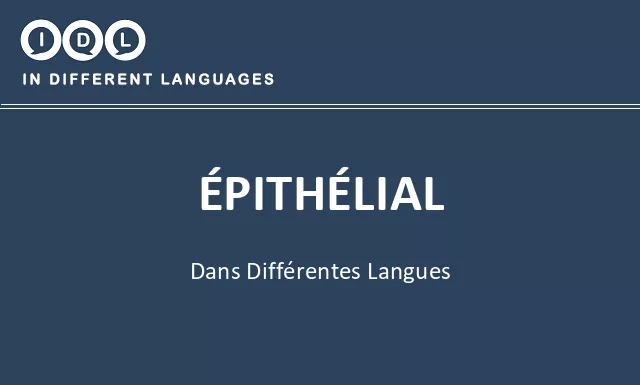 Épithélial dans différentes langues - Image