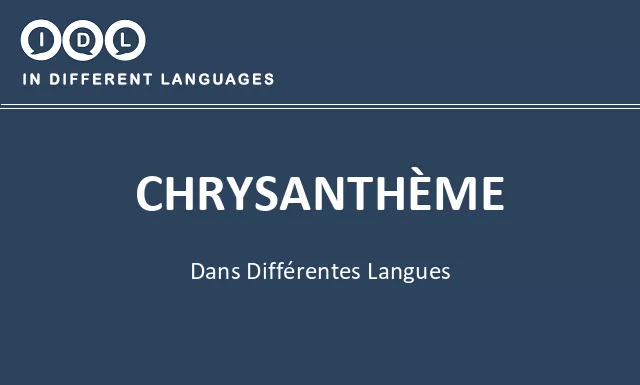 Chrysanthème dans différentes langues - Image
