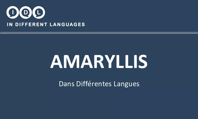 Amaryllis dans différentes langues - Image