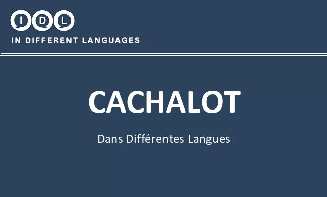 Cachalot dans différentes langues - Image
