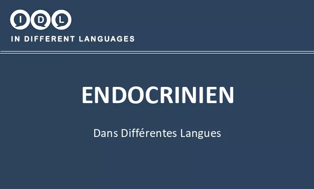 Endocrinien dans différentes langues - Image