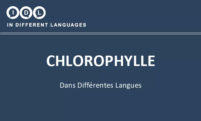 Chlorophylle dans différentes langues - Image