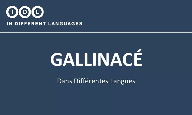 Gallinacé dans différentes langues - Image