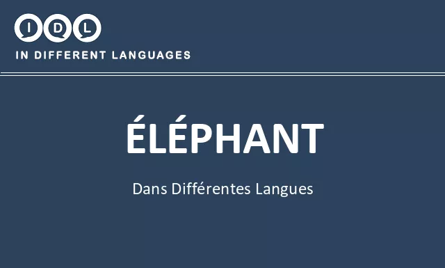 Éléphant dans différentes langues - Image