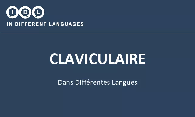Claviculaire dans différentes langues - Image