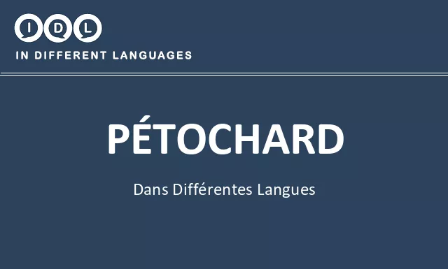 Pétochard dans différentes langues - Image