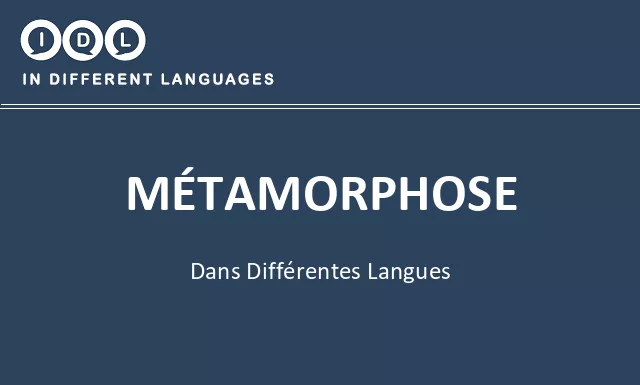 Métamorphose dans différentes langues - Image