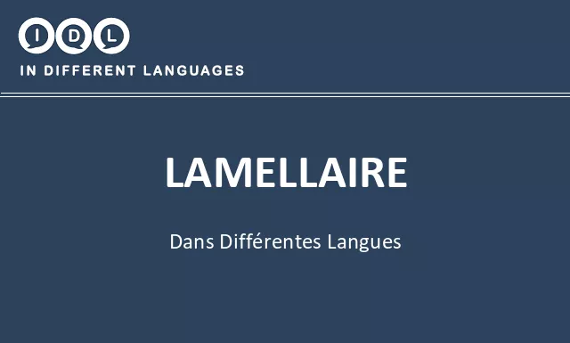 Lamellaire dans différentes langues - Image