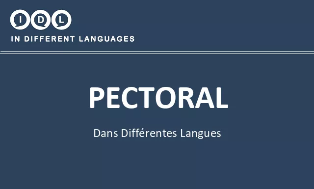 Pectoral dans différentes langues - Image