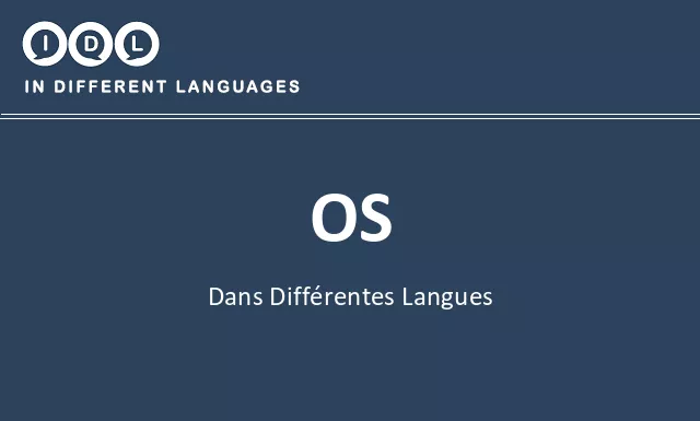 Os dans différentes langues - Image