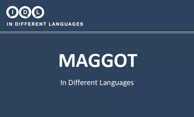 Maggot in Different Languages - Image