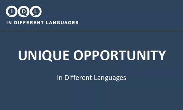 Unique opportunity in Different Languages - Image