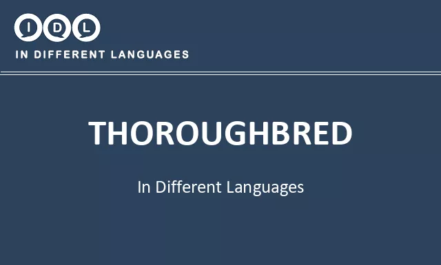 Thoroughbred in Different Languages - Image
