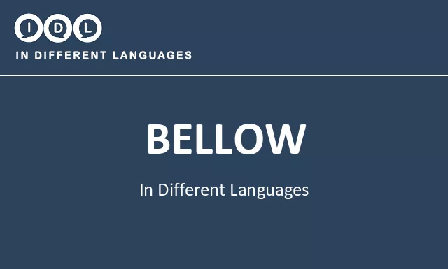 Bellow in Different Languages - Image