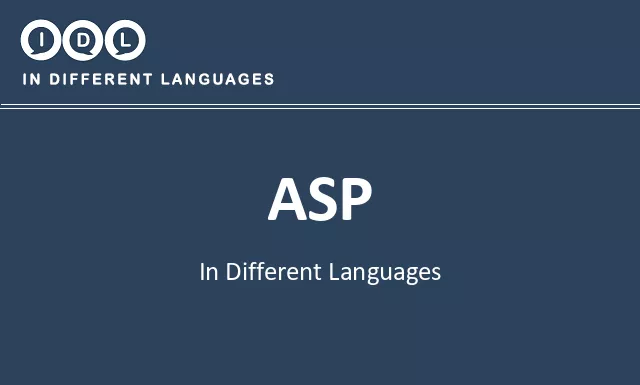 Asp in Different Languages - Image