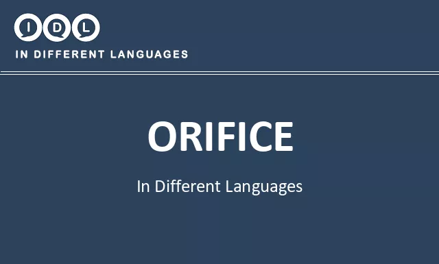Orifice in Different Languages - Image