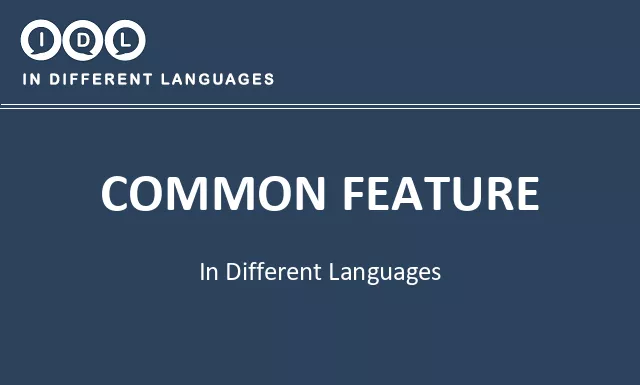 Common feature in Different Languages - Image