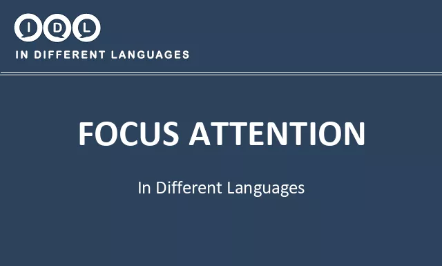 Focus attention in Different Languages - Image