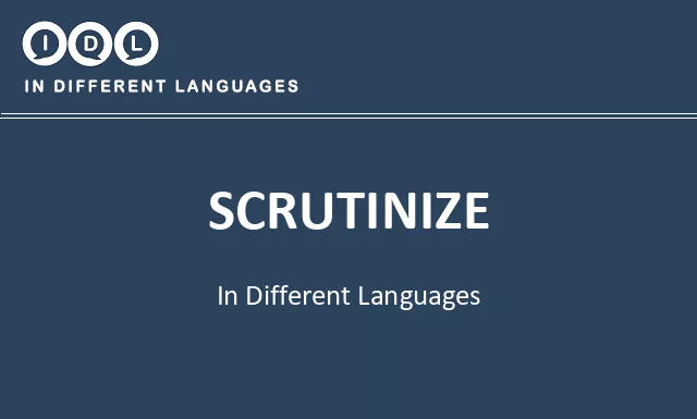 Scrutinize in Different Languages - Image