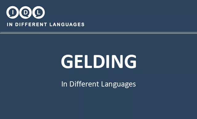 Gelding in Different Languages - Image