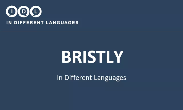 Bristly in Different Languages - Image