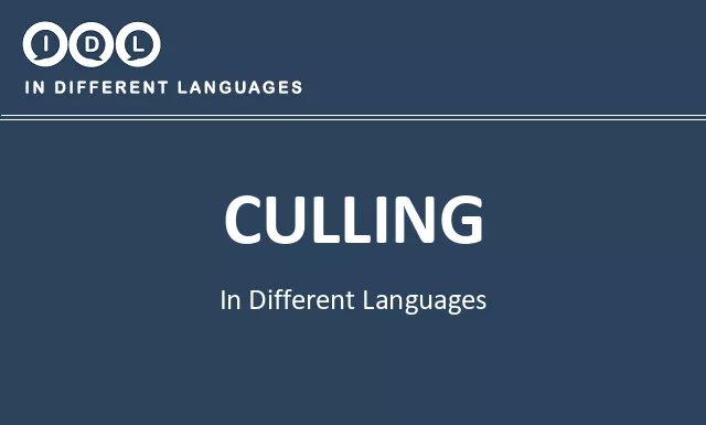 Culling in Different Languages - Image