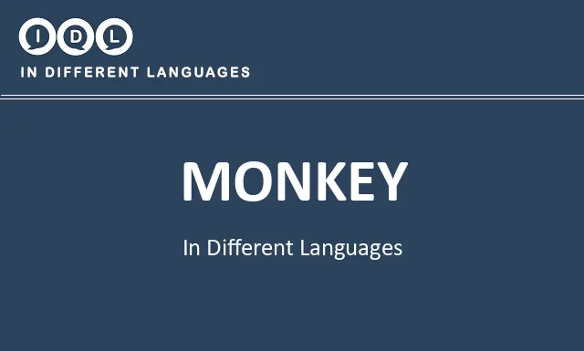 Monkey in Different Languages - Image