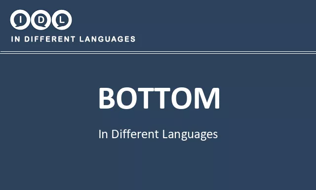Bottom in Different Languages - Image