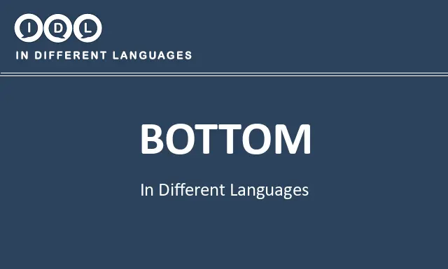 Bottom in Different Languages - Image