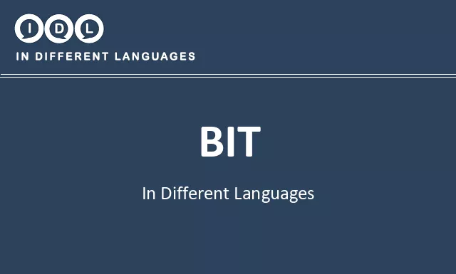 Bit in Different Languages - Image