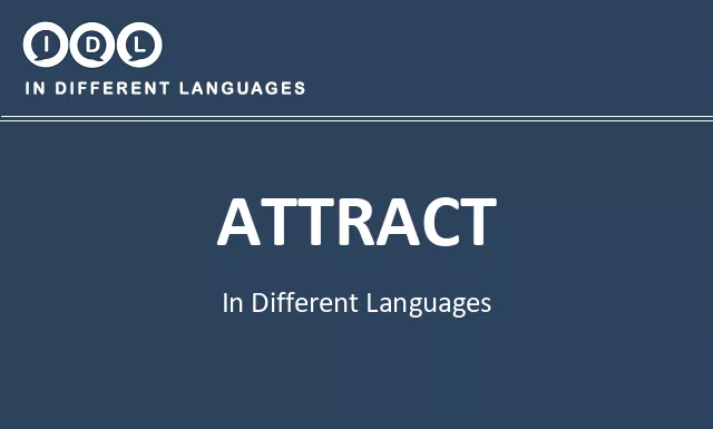 Attract in Different Languages - Image